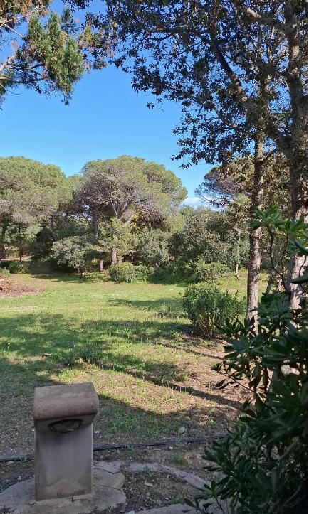 Dettaglio della zona giorno
